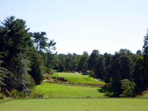 Pine Valley 5th Green