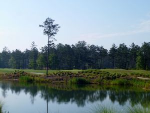 Cape Fear National 10th Green