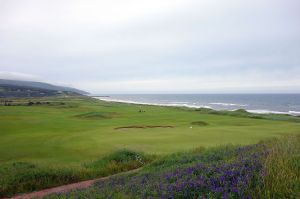 Cabot Links 8th Flowers