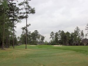 Augusta Pines 8th