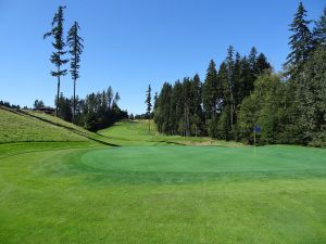 Gold Mountain (Olympic) 17th Back