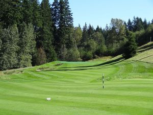 Gold Mountain (Olympic) 17th Fairway