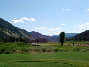 Snake River 15th Tee