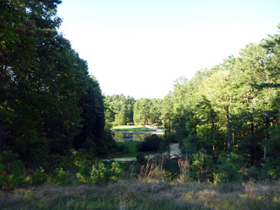 Pine Valley