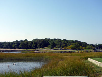 The tide was in for our trip to the 11th hole at The Creek Club