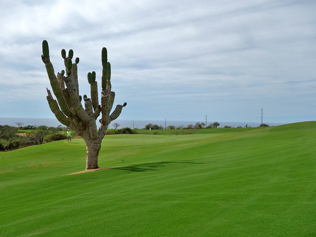 Diamante (El Cardonal) (Cabo San Lucas, Baja California ...
