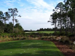 Concession 7th Tee