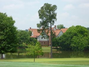 East Lake Clubhouse Tree