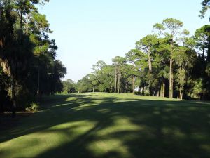 Ocean Forest 16th