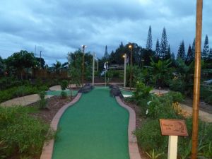 Kauai Mini Golf 5th