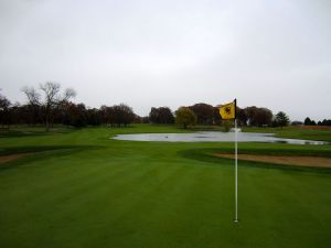 Rich Harvest 6th Back Green