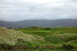 Waterville 12th Fescue