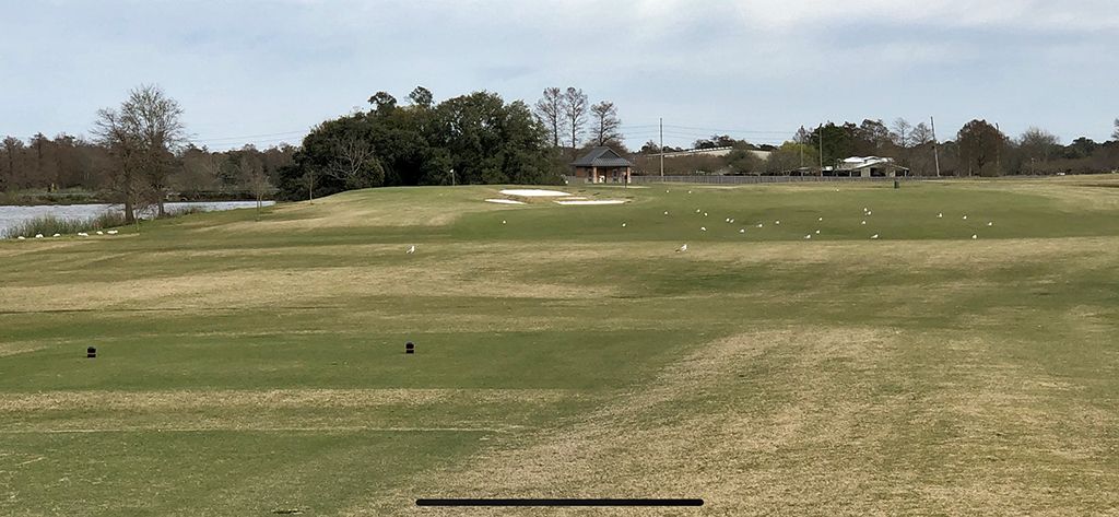Bayou Oaks City Park (South) (New Orleans Louisiana) GolfCourseGurus
