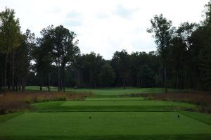 Forest Dunes 2nd