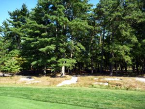 Pine Valley 2nd Fescue