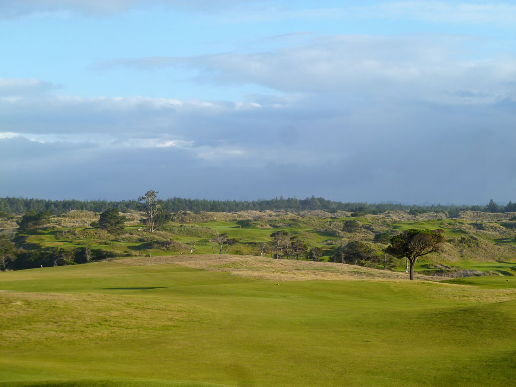 Looking back towards the tee on the 17th Hole at Bandon Dunes
