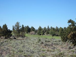 Pronghorn (Nicklaus) 6th Zoom