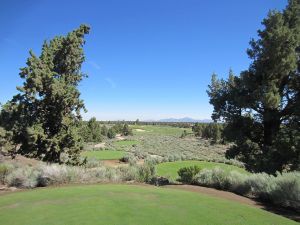 Pronghorn (Nicklaus) 8th Tee
