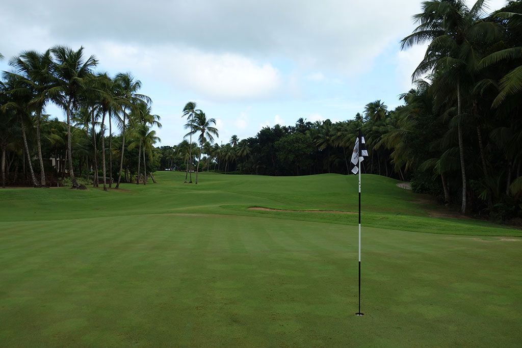 10th Hole at Bahia Beach Resort and Golf Club (316 Yard Par 4)