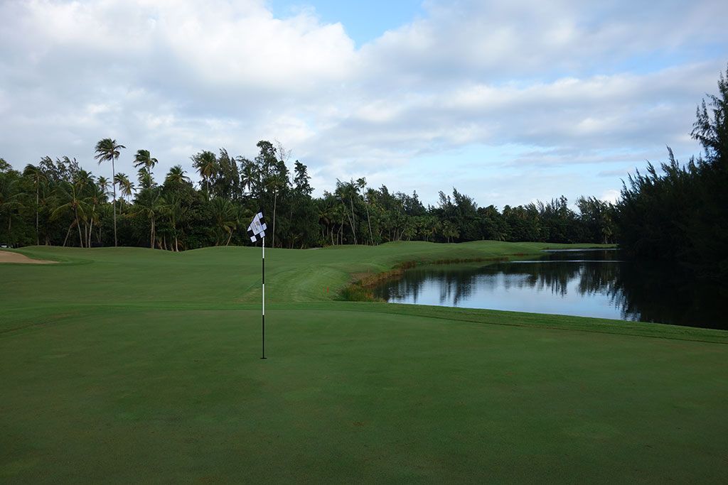 5th Hole at Bahia Beach Resort and Golf Club (568 Yard Par 5)