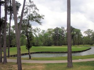 Augusta Pines 17th Green