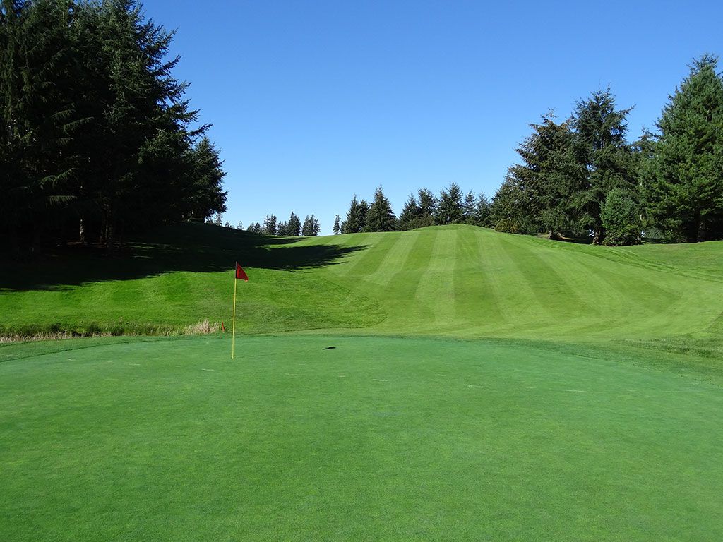 9th Hole at Gold Mountain (Olympic) (621 Yard Par 5)