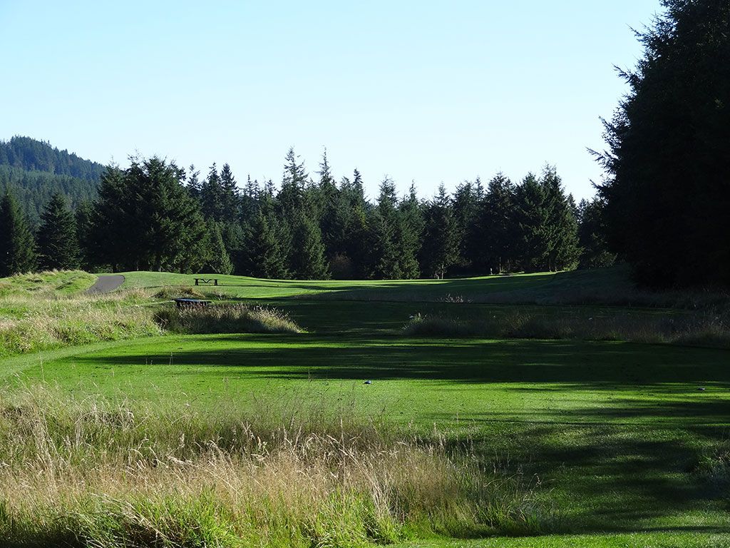 9th Hole at Gold Mountain (Olympic) (621 Yard Par 5)