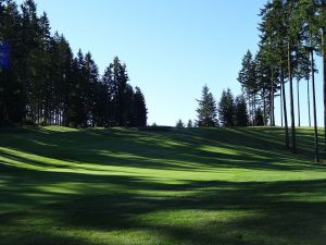 Gold Mountain (Olympic) 4th Fairway