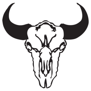 Bronze Buffalo Ranch logo